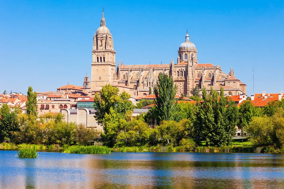 Vue de Salamanque avec la cathédrale